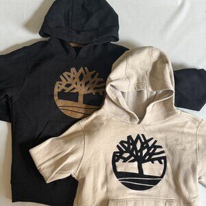 (2) Boys -Size 10-12 Hoodies